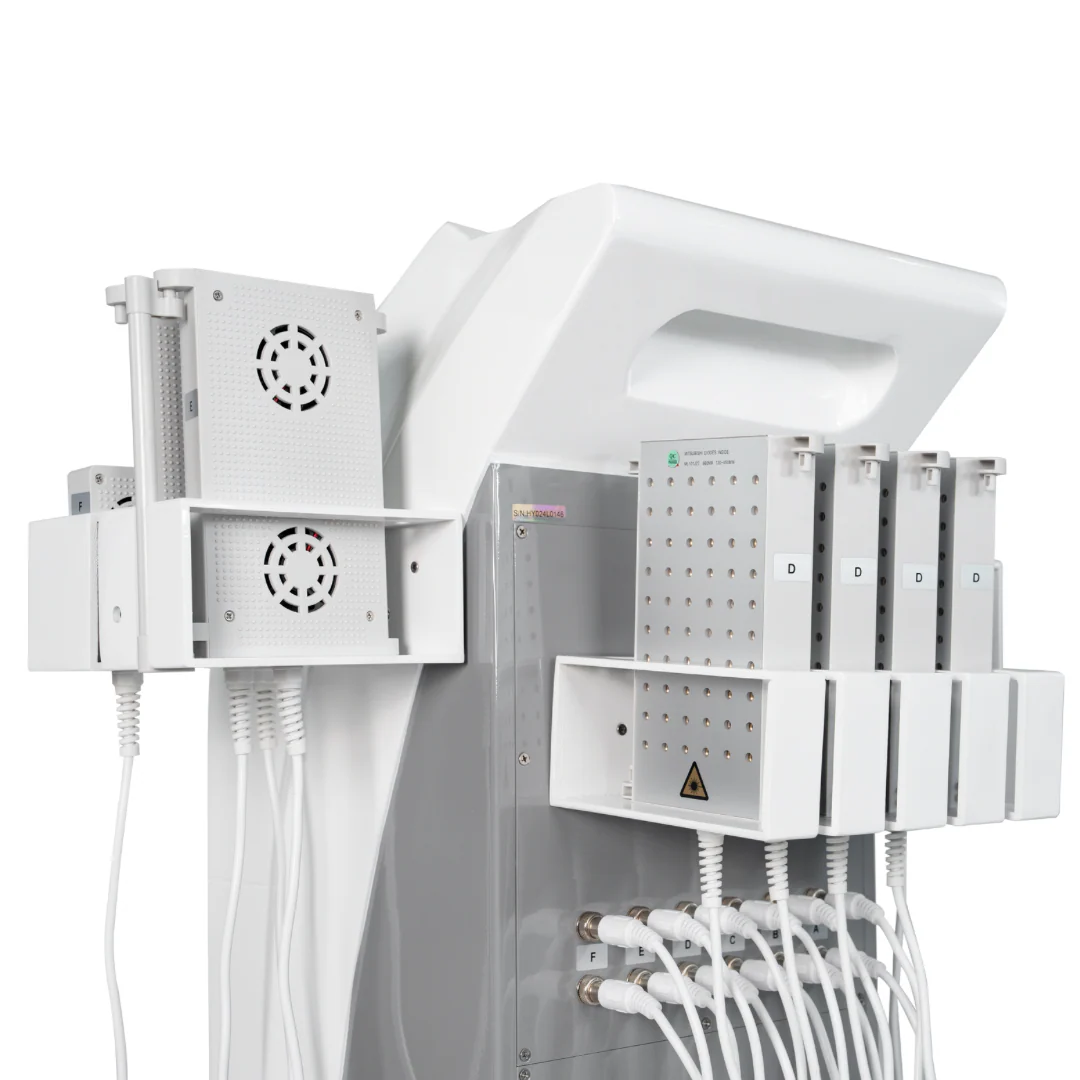 Elora 12D Diode Lipo Laser Weight Loss Machine - Image 6