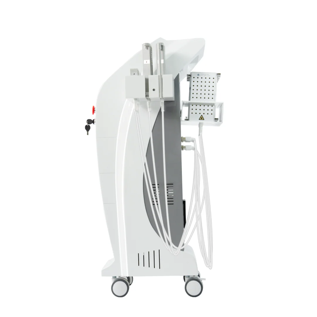 Elora 12D Diode Lipo Laser Weight Loss Machine - Image 8